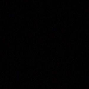 Meet your Posher, Riley